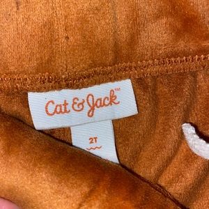 Cat and jack size 2t sweat set